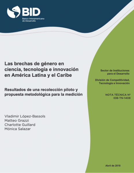 Las brechas de género en ciencia, tecnología e innovación en América Latina y el Caribe: resultados de una recolección piloto y propuesta metodológica para la medición